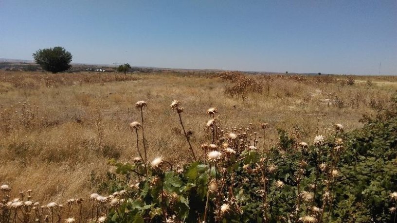 Terrain aménageable de 18021m² dans secteur 09:lobata Suelo, Zamora