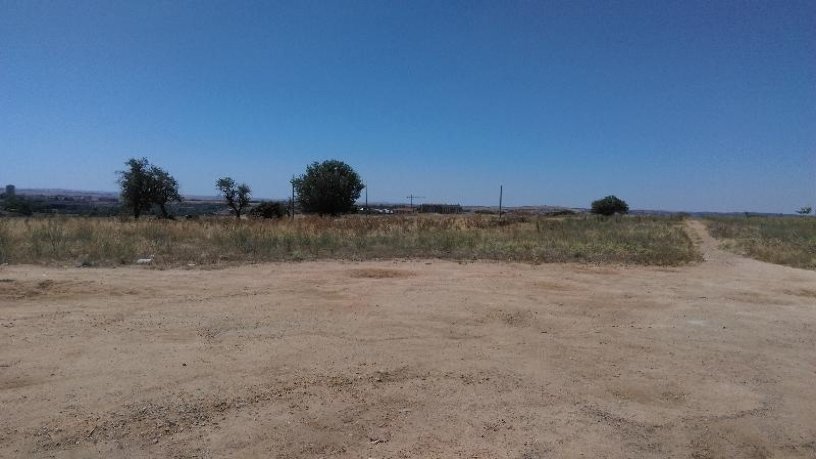3762m² Developable land on sector 09:lobata Suelo P42 P16 0005010 0, Zamora