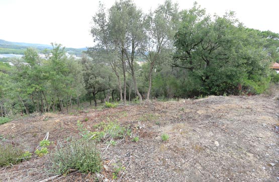 Others on street Montnegre, Parcela 9, Fogars De La Selva