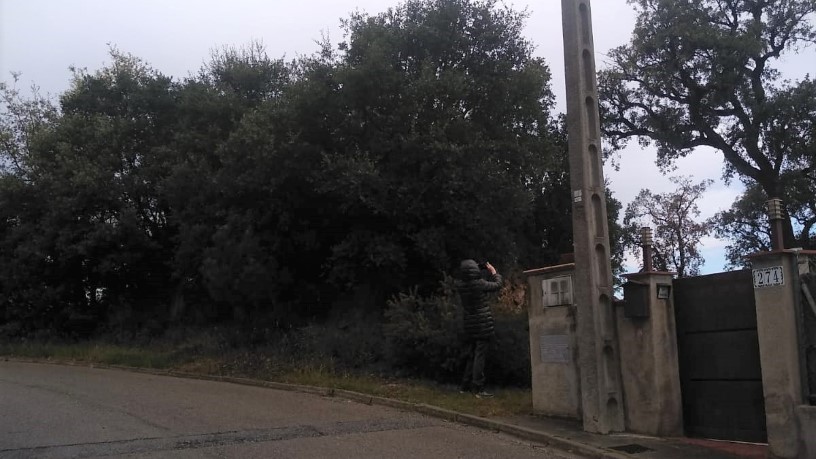 Others in street Cim De La Baronia Urb Baronia De Montseny Prcl 276, Vallgorguina