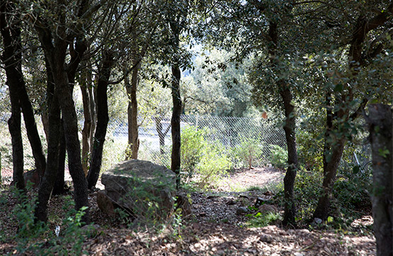 Others in street Colometa Urb. El Farell, Caldes De Montbui
