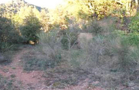 Developable land in street Salvador Badia, Vacarisses