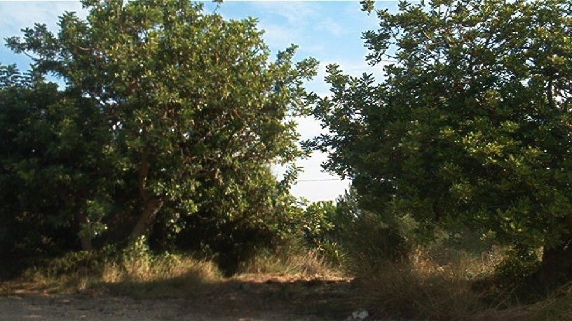 Suelo urbanizable de 7856m² en  L´ortill, Vilanova I La Geltrú, Barcelona