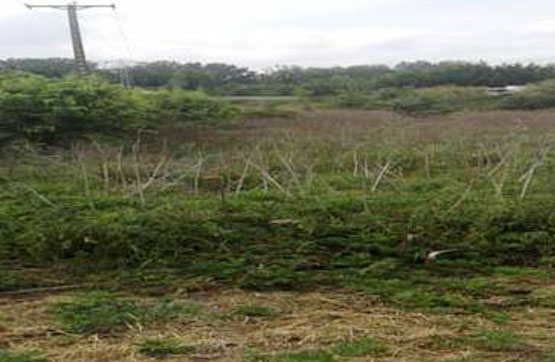 Developable land  on street Llevant, Sant Julià De Ramis