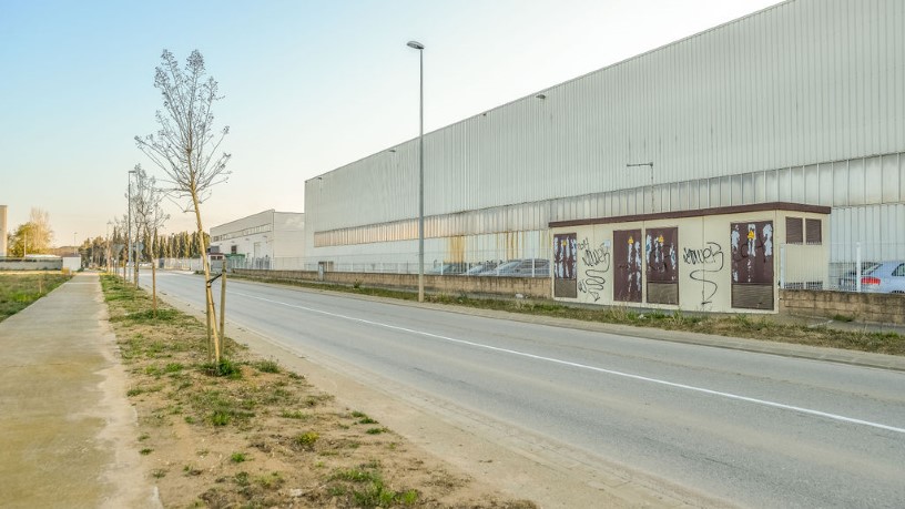 11784m² Industrial unit on road De Fornells, Campllong, Girona