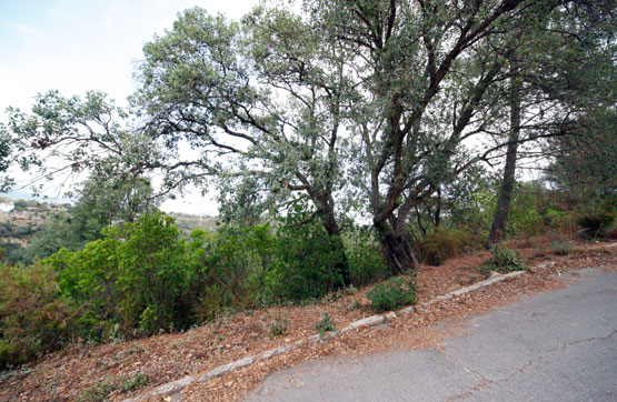 1116m² Others on street Illa, Maçanet De La Selva, Girona