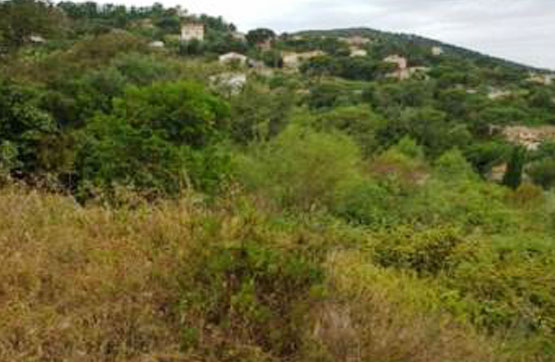 Autres de 1775m² dans rue Sant Nicolau Post. C/santa Elena, 31 Ur.montbarbat, Maçanet De La Selva, Girona