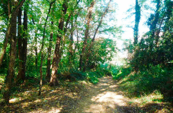 Otros  en calle Verneda S/n Sud-01 La Verneda, Anglès