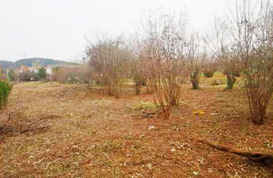 133m² Others on street Puigventos, Anglès, Girona