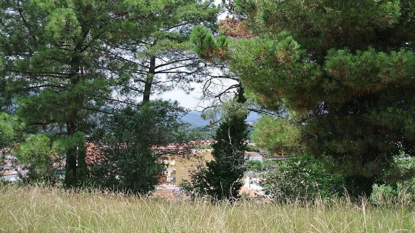 Suelo urbanizable de 5887m² en  H Del Poum-mas Serra (Paraje Mas Serra), Santa Coloma De Farners, Girona