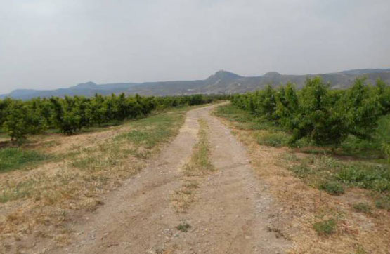 Finca rústica  en partida Polígono 6 - Parcela 31, Massalcoreig