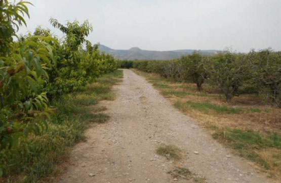 Finca rústica  en partida Polígono 6- Parcela 56, Massalcoreig