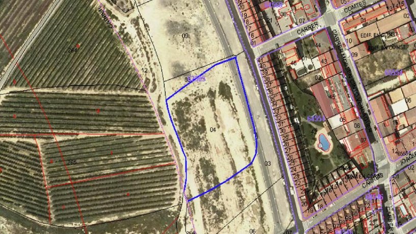 14596m² Developable land on slope Pp4, Alpicat, Lérida