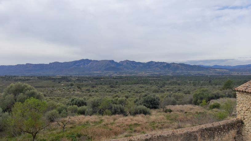 Finca rústica de 7614848m² en paraje Biscorn, Burgalls, Burga, Peñarroja Y Mas De Ro, Tivissa, Tarragona