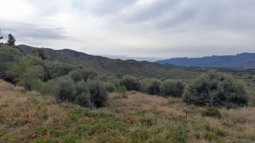 Rustic property  on spot Biscorn, Burgalls, Burga, Peñarroja Y Mas De Ro, Tivissa