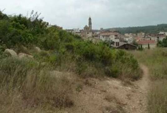 17104m² Developable land on sector 40 Llevant De Pau Casals, Catllar (El), Tarragona