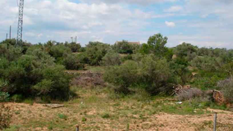 Developable land in departure Camarles P.p.sector Sup Pp 7-2 F.r.3931, Ampolla (L)