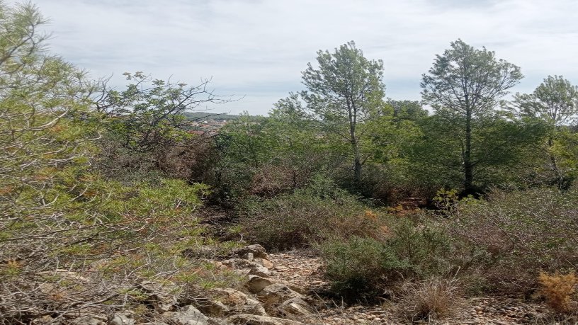 Terrain aménageable de 11059m² dans place Partida El Puig Polig.5 Parc.32, Vendrell (El), Tarragona