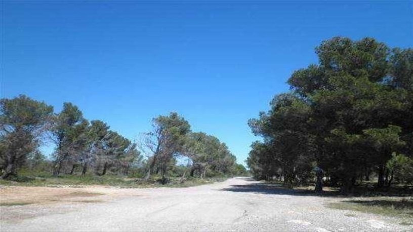 Developable land on Sud12 Casalot Llevant 14, Mont-roig Del Camp