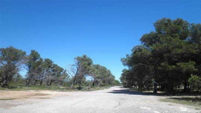 1082m² Developable land on  Sud12 Casalot Llevant 14, Mont-roig Del Camp, Tarragona