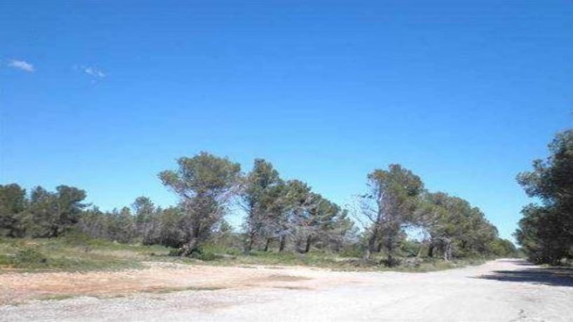 Developable land on Sud12 Casalot Llevant 14, Mont-roig Del Camp