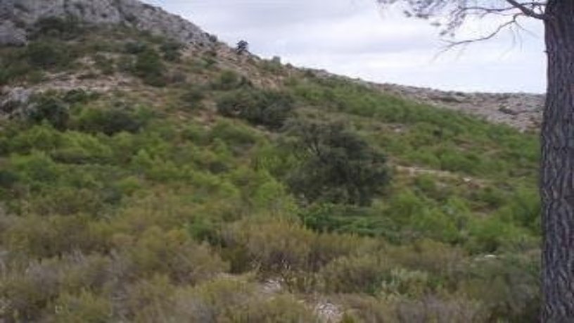 Propriété rustique de 1916470m² dans zone ind. 78 Partida La Cuna, Tivissa, Tarragona