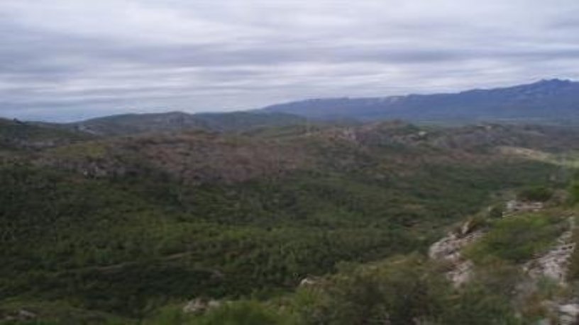 Finca rústica de 1916470m² en pol. ind. 78 Partida La Cuna, Tivissa, Tarragona