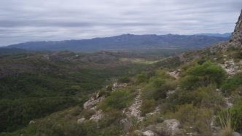 Finca rústica de 1916470m² en pol. ind. 78 Partida La Cuna, Tivissa, Tarragona