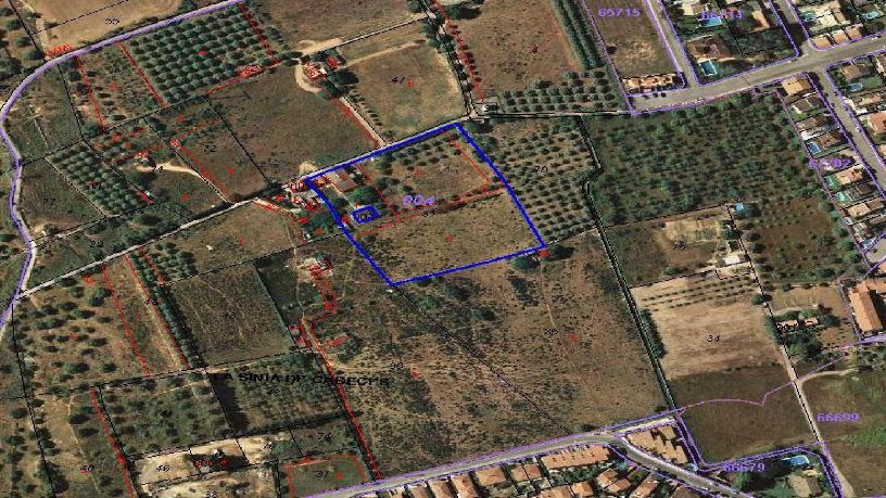 Finca rústica de 10576m² en  Cami Camp De La Bota, Torredembarra, Tarragona