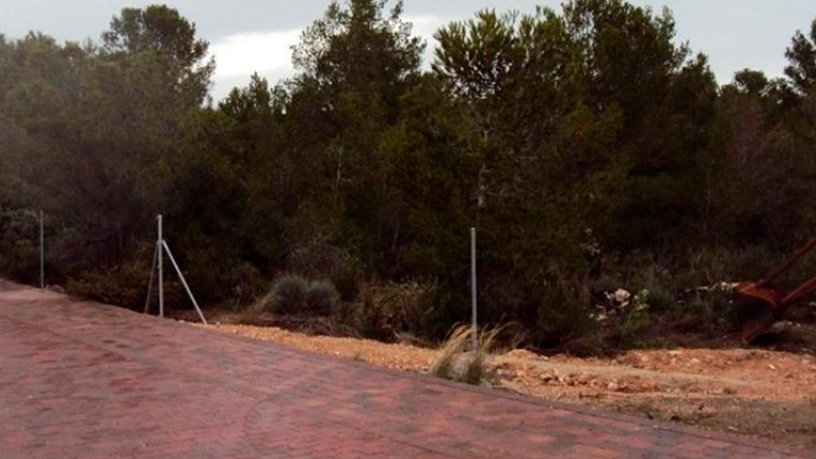 Urban ground on street Rabassades De Les, Mont-roig Del Camp