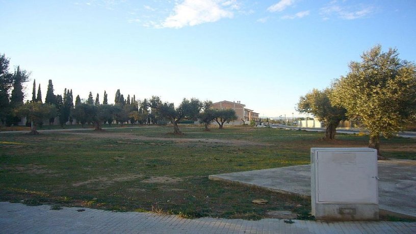 Suelo urbano de 2140m² en calle Profesor Esteve Galvez, Amposta, Tarragona