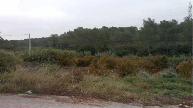 267163m² Rustic property on  Partida Comella O La Senra Poligono 1,5,, Tarragona