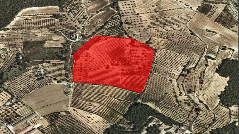 Propriété rustique de 77015m² dans  Tapioles O La Vela Poligono 15 Parcela 2, Tarragona