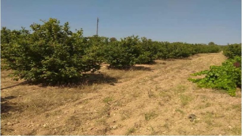 Finca rústica de 77015m² en  Tapioles O La Vela Poligono 15 Parcela 2, Tarragona