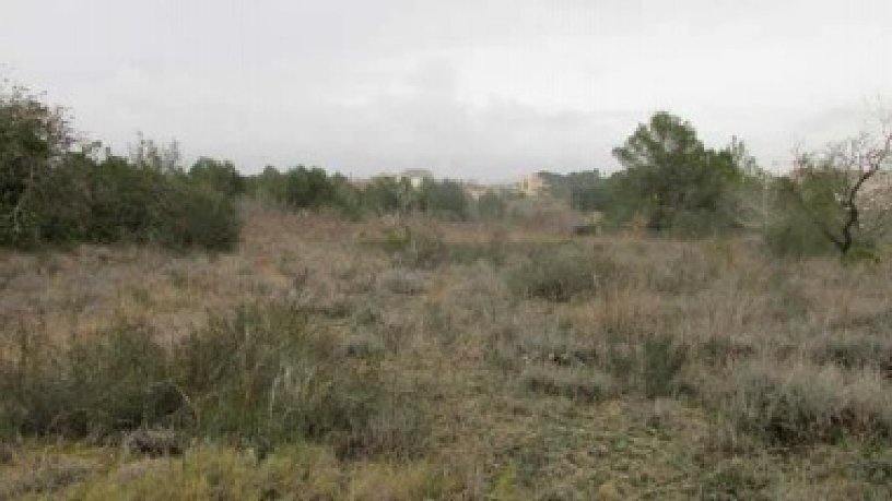 Propriété rustique de 11872m² dans  Irlas, Valls, Tarragona