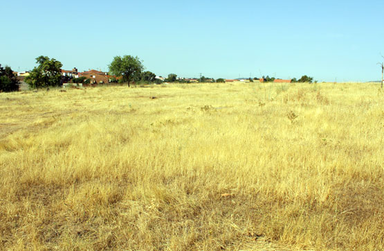 Otros  en paraje San Anton, Parcela 38 F, Puebla De Sancho Pérez