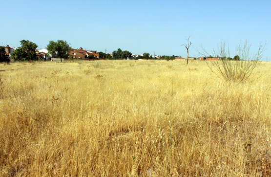 Otros  en paraje San Anton, Parcela 38 F, Puebla De Sancho Pérez