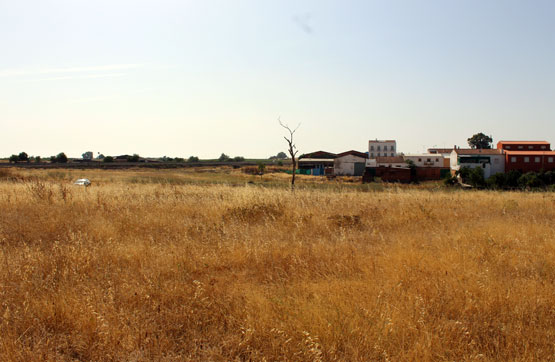 Otros  en paraje San Anton, Parcela 38 F, Puebla De Sancho Pérez