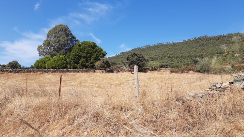 Otros  en paraje Carboneras Pol 4 Parc 146, Casas De Millán