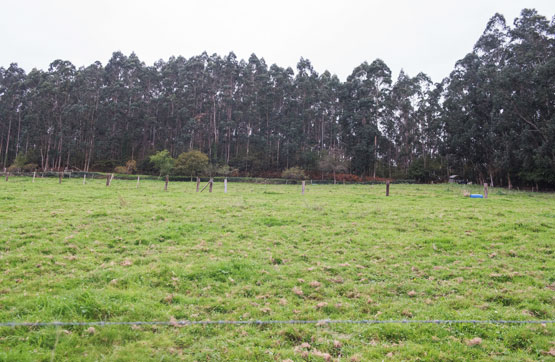 Autres de 1050m² dans rue De Cabanas, Vilalba, Lugo