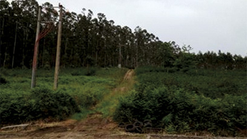 Terrain urbain  dans rue Finca Palmeiro, Manz. C, Xove