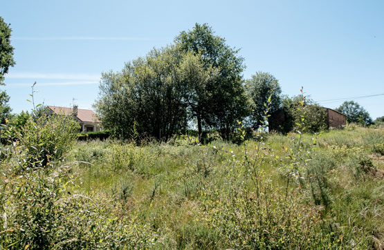 Finca rústica  en calle Unidas-san Miguel Campo,s/n, Nogueira De Ramuín