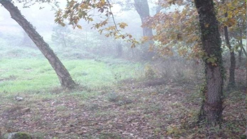 Suelo urbanizable en camino Vieiro De Arriba, Ourense, Orense