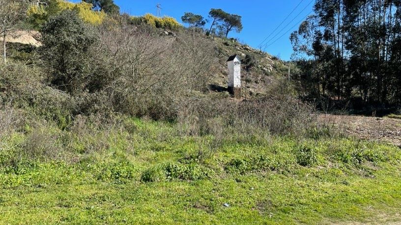 Finca rústica  en urbanización Berrocanes.area De Reparto 20-e,parcela A, Ourense