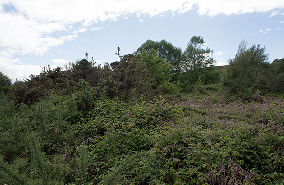 Rustic property on spot Raposeiras En Ladrero -S/n, Silleda