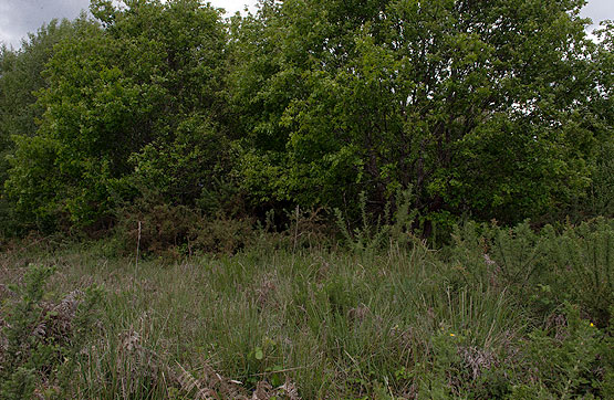Rustic property on spot Raposeiras En Ladrero -S/n, Silleda