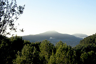 Finca rústica  en calle Sa Tragonera, Cami Des Bedeluc, Andratx