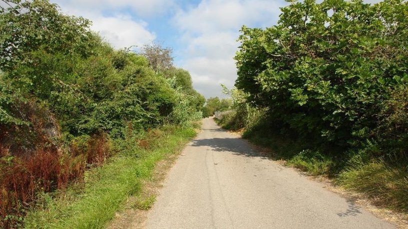 Finca rústica de 2563m² en  Paraje Son Lluch, Manacor, Baleares