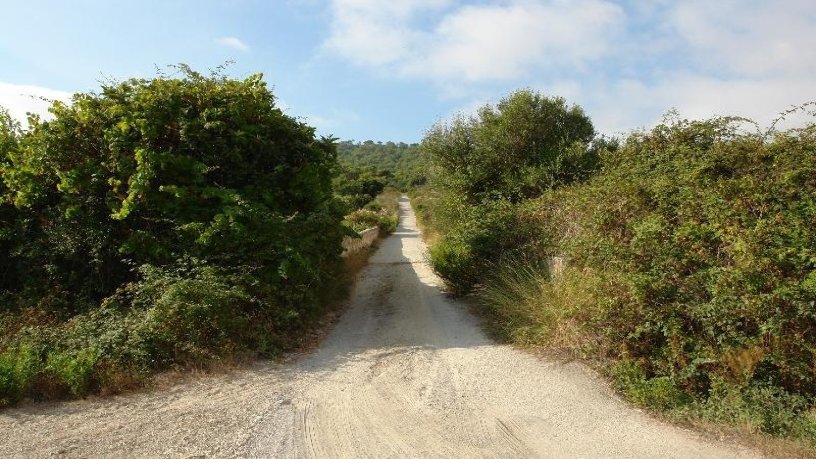 2563m² Rustic property on  Paraje Son Lluch, Manacor, Baleares