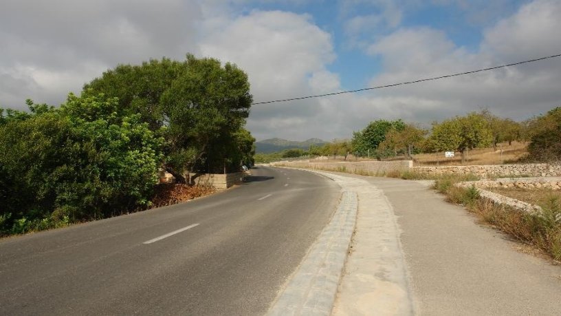 Finca rústica de 2563m² en  Paraje Son Lluch, Manacor, Baleares